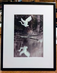 Limited Print By Donna T, The Swamp Ghost , 1/ 50 Signed, Matted And Framed