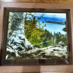 Amanda Eunice «Lake Tahoe, Nevada» Framed Color Landscape Photo Nature
