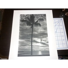 Vintage G. Mestek Signed Photo Art Print Palm Tree Sunset Silhouette Gallery