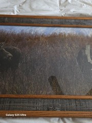 Tim DePuydt Framed Moose Photo Print 18×31 Rustic Montana Cabin Wildlife Art VTG