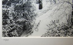 Stephen Gersh Gelatin Silver Print Photograph Trees in Snow Listed Photographer