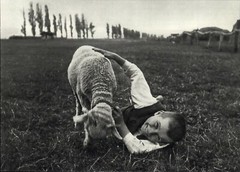 1917 1972 Andre Kertesz Sheep & Boy Farm Esztergom Friend Art Photo Photogravure