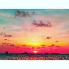 KEY WEST Sunset Sail 11×14 Matted Art Photo Photograph Florida Keys Sailing Boat