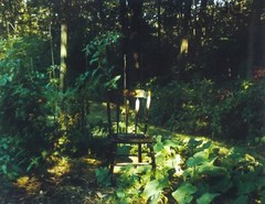 Original Signed 1990 Photograph Mary Turtle’s Garden by David Hilliard Listed