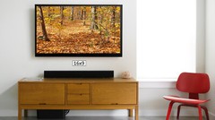 Fall Forest Leafy Ground 1, High Resolution Image, Many Formats, TV Art