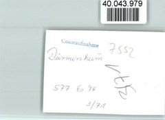 40043979 – 7552 Durmersheim Ford Taunus