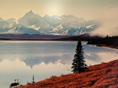 Thomas Mangelsen «Shores of Wonder Lake 27″ X 50» framed print signed & numbered