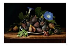 Figs and Morning Glories by Paulette Tavormina (1949)