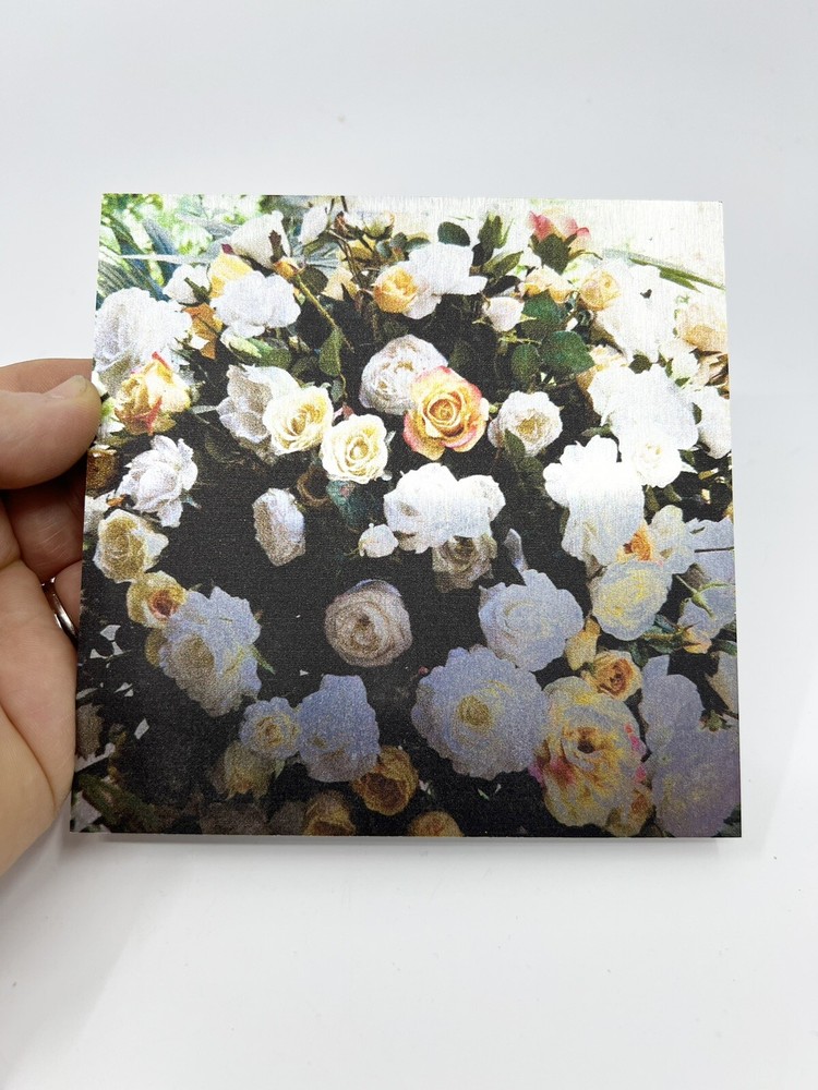 Nancy Reid Carr Art & Photography Metal Photo Print Garden Roses Signed Floating