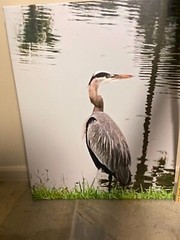 Photograph of crane on canvas, ready to hang 16 » x 20″