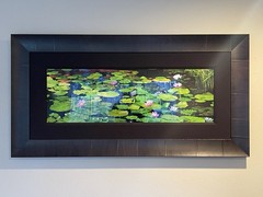Peter Lik «Awaken» Limited Edition, Framed, Signed Photograph! #141/950 WITH COA