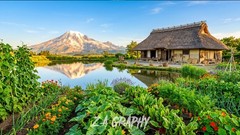 Digital Image Picture Photo Wallpaper Background Desktop AI Art Sample Product