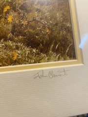 John Clement Snake River Canyon Spring Signed Print Matted 14” X 11”