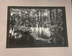 Clyde Butcher Signed Photograph Loxahatchee River #1 Framed 9.5” X 6.5” Photo