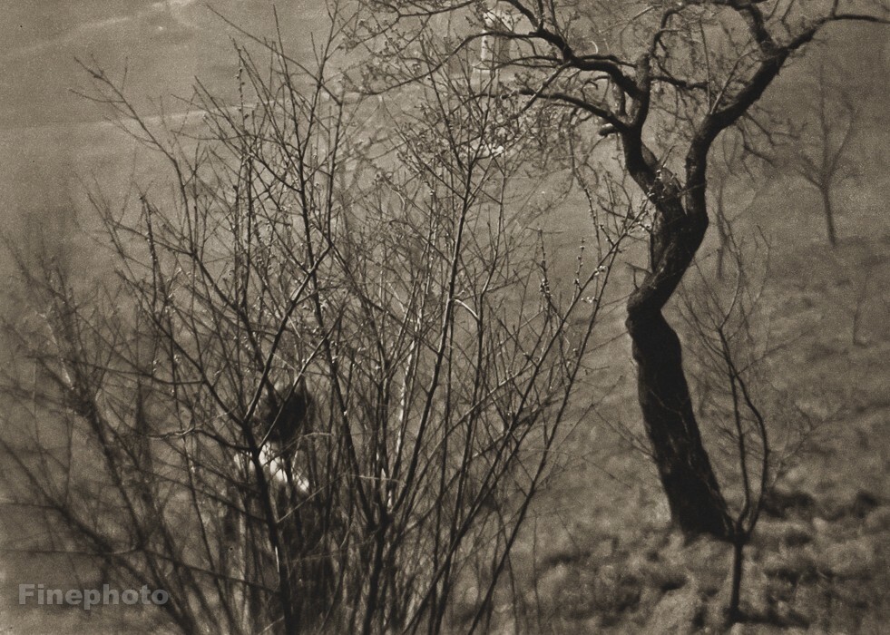 1952 Vintage Print JOSEF SUDEK ~ Czech SEMINARY GARDEN Landscape Photo Art 11X14
