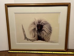 Porcupine in Snow w/Antler Wildlife Photograph by Carl R. Sams II Framed Signed