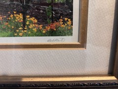 Framed Signed Photograph Sonoma Valley Vineyard by Bob Martin | California Wine