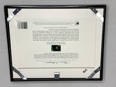 Thomas Mangelsen 8X10 «Gentle Giant The Silverback» Image of Nature P155