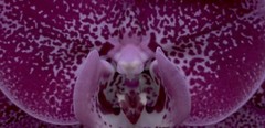 fine art photography prints