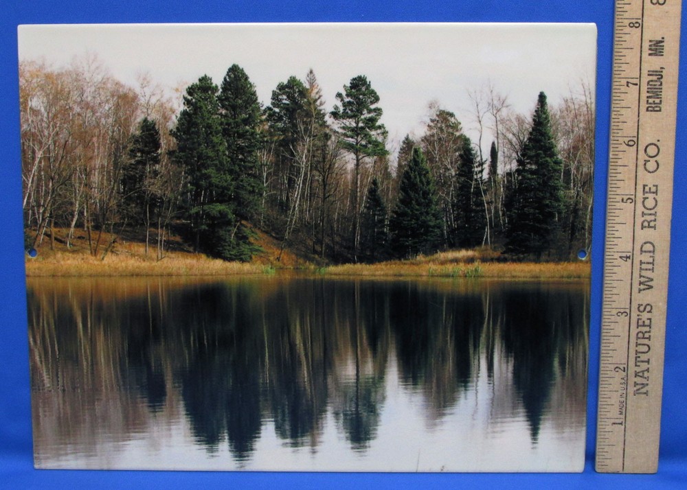 Mark Lewer Fall Lake Shoreline Photograph Picture Printed on Metal Wall Hanging