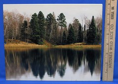 Mark Lewer Fall Lake Shoreline Photograph Picture Printed on Metal Wall Hanging