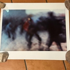 Janine Gordon Photograph 60″x72″ C-print Edition Grid Bike Kill Signed Fine Art