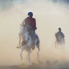 Returning Home Photo 12″ x 18″ Horses