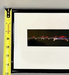 Limited Edition Photographic Motion Triptych Triathlon by Alex Pietersen c1980