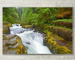 Oregon Landscape, Forest, Trees, Waterfall, Fine Art Photo, Metal, Canvas, Paper