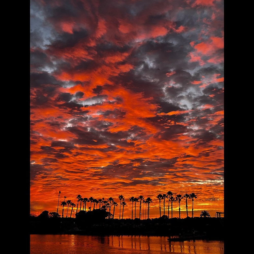Red Marina (2025) | Photo Print | Bryce Brecheisen | Marina Del Rey, CA