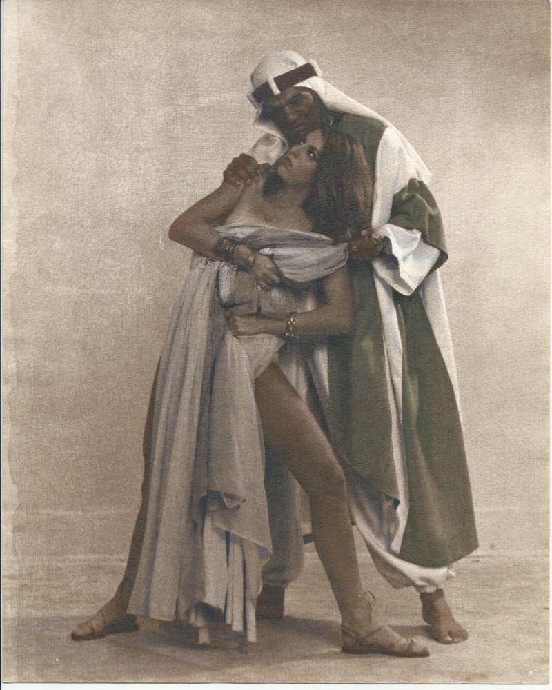 Hendrickson Hand Tinted Arabian Fright Nights Harem 8″X10″ Photo R156