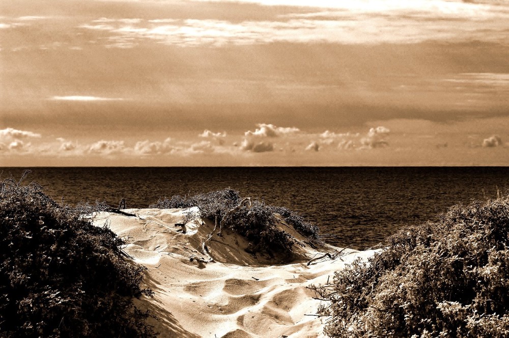 Point Dume,Ca.24″x36″x1.5″ Canvas on wood frame landscape by D M Haub.
