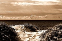 Point Dume,Ca.24″x36″x1.5″ Canvas on wood frame landscape by D M Haub.