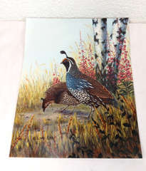 3 VTG Bird Photographs Pictures Signed, Limited Editions Quail Chickadee Nature
