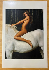 Walter Chin Gisele Bundchen Vanity Fair Photo Print 18×12.25 Lady Godiva Art