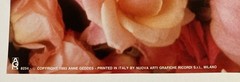 Ann Geddes, “Cheesecake ”Baby surrounded by Flowers Original Poster #8254