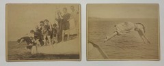 Antique John S Johnston ‘LADIES SWIMMING Race’ BRIGHTON BEACH Brooklyn NY PHOTOS