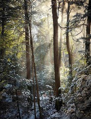 LANDSCAPE 8.5×11 or 13X19 COLOR BORDERLESS GLOSSY PRINT (FREE SHIPPING)
