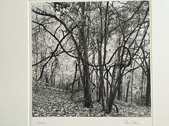 BRUCE BLUM Matted & SIGNED B&W Photo Print (9 3/4 «X 10»)-«Laocoon»