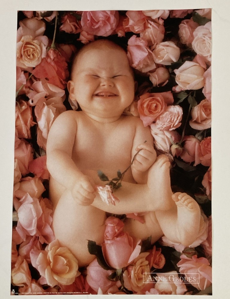 Ann Geddes, “Cheesecake ”Baby surrounded by Flowers Original Poster #8254