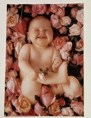 Ann Geddes, “Cheesecake ”Baby surrounded by Flowers Original Poster #8254