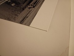 Elliot Erwitt Black And White Print