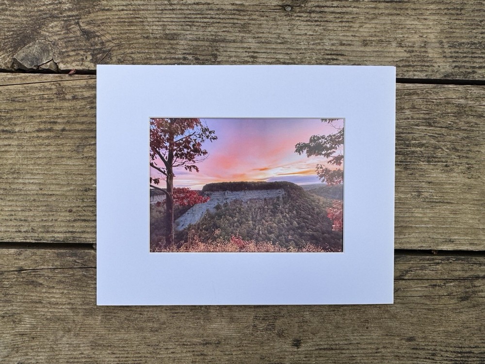 5 X 7 original print matted to 8 X 10 Landscape Art Letchworth State Park NY