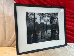 DAVID H GIBSON Photography EARLY Signed Photo CADDO LAKE 1974 ~ LARGE 19″ by 15″