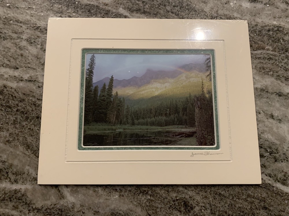 JAMES THOMSON SIGNED PRINT PHOTO MOOSE MARSH MONTANA Glacier National Park
