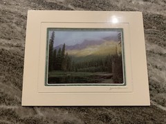 JAMES THOMSON SIGNED PRINT PHOTO MOOSE MARSH MONTANA Glacier National Park