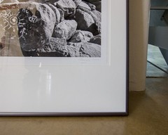 Photograph of Southwestern Desert in Black and White with Formal Metal Frame
