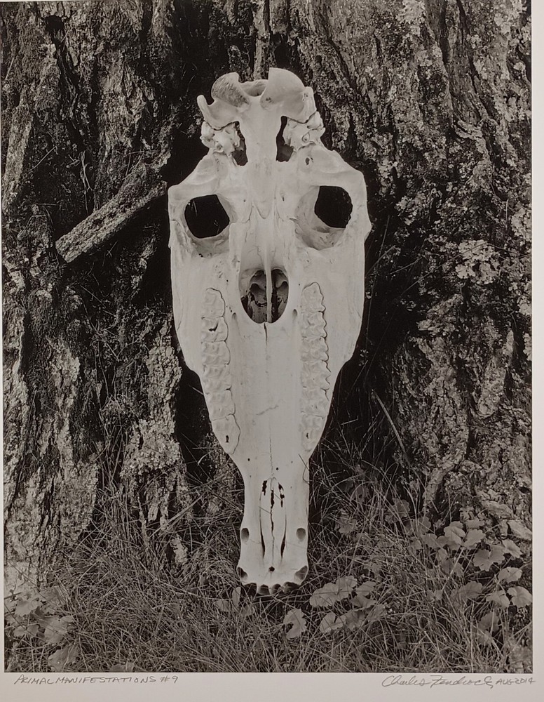 Large Format Black & White Photo Primal Manifestation #9 by Charles Fendrock