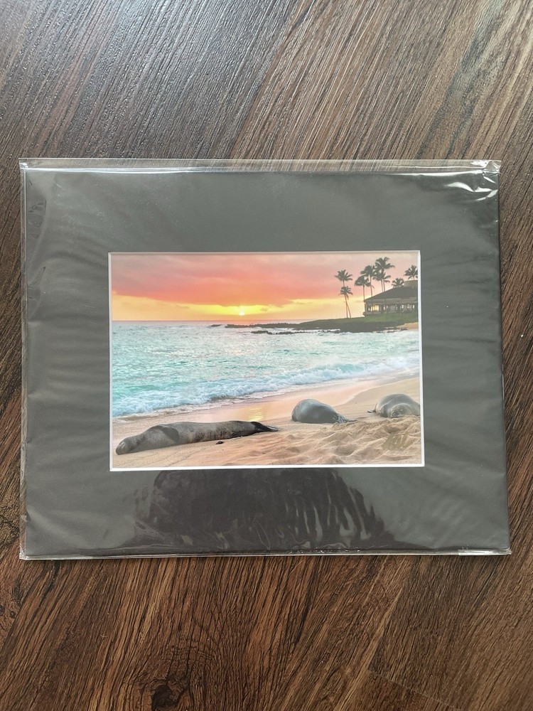 FINE ART PHOTOGRAPHY Kauai Hawaii KERRY ODA Signed NEW 10×8” Sunset Sunrise