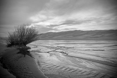 Fine Art Photography, Black & White print, 8×12, Great Sand Dunes, Medano CreekS